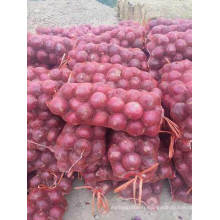 Fresh Onion Red Onion Wholesale Price From China